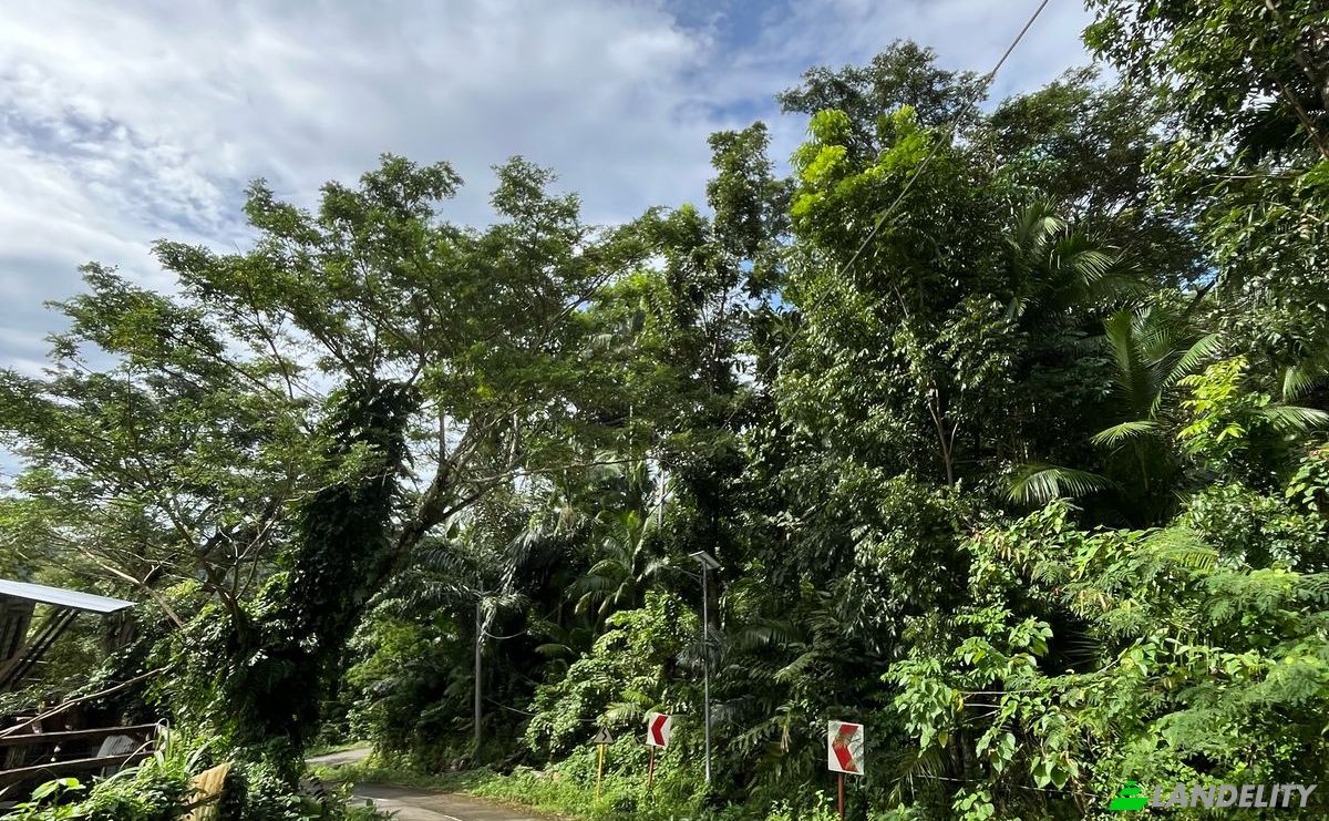 Land Lot for Sale Loboc, Bohol, Central Visayas, Philippines. Photo 13