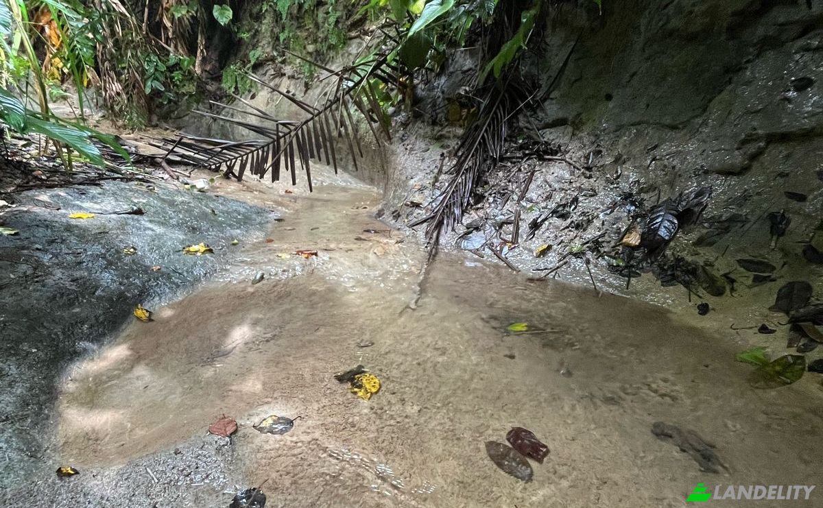 Land Lot for Sale Loboc, Bohol, Central Visayas, Philippines. Photo 2