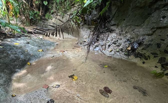 Land Lot for Sale Loboc, Bohol, Central Visayas. Photo#2 Land Lot for Sale Loboc, Bohol, Central Visayas. Photo#2