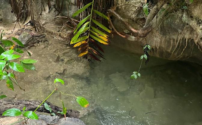 Land Lot for Sale Loboc, Bohol, Central Visayas. Photo#3 Land Lot for Sale Loboc, Bohol, Central Visayas. Photo#3