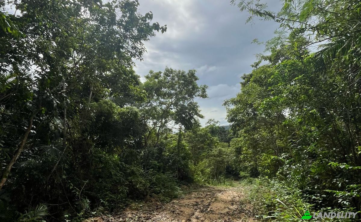 Land Lot for Sale Loboc, Bohol, Central Visayas, Philippines. Photo 4