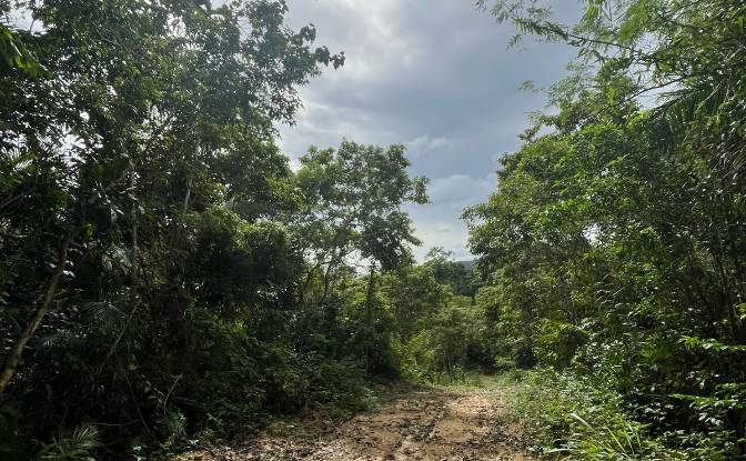 Land Lot for Sale Loboc, Bohol, Central Visayas. Photo#4 Land Lot for Sale Loboc, Bohol, Central Visayas. Photo#4