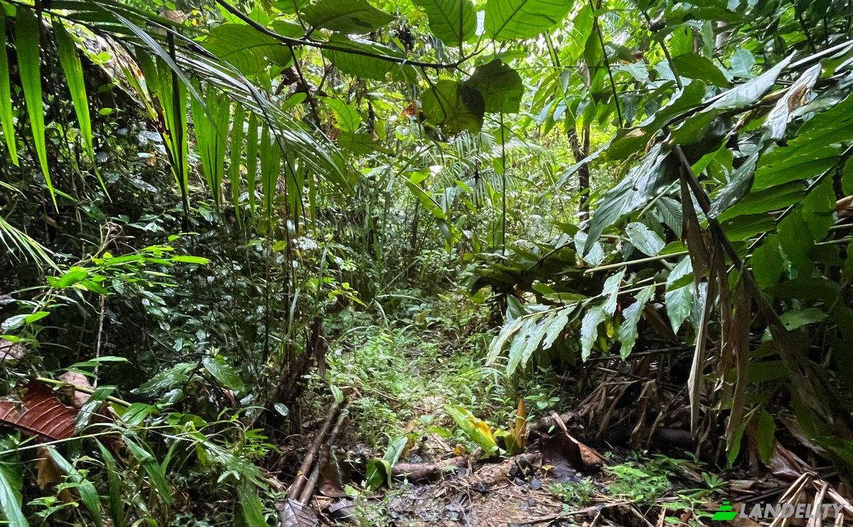 Land Lot for Sale Loboc, Bohol, Central Visayas, Philippines. Photo 5
