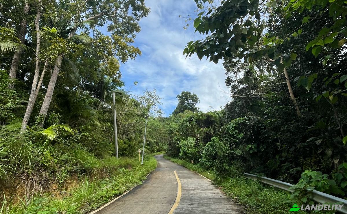 Land Lot for Sale Loboc, Bohol, Central Visayas, Philippines. Photo 7