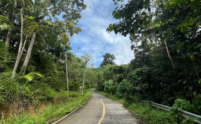 Land Lot for Sale Loboc, Bohol, Central Visayas. Photo#7 Land Lot for Sale Loboc, Bohol, Central Visayas. Photo#7