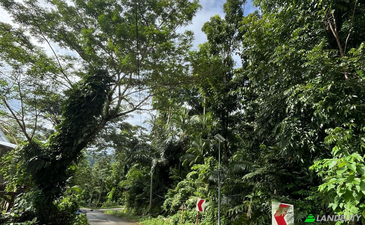 Land Lot for Sale Loboc, Bohol, Central Visayas, Philippines. Photo 9