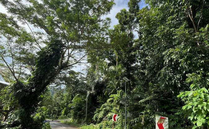 Land Lot for Sale Loboc, Bohol, Central Visayas. Photo#9 Land Lot for Sale Loboc, Bohol, Central Visayas. Photo#9