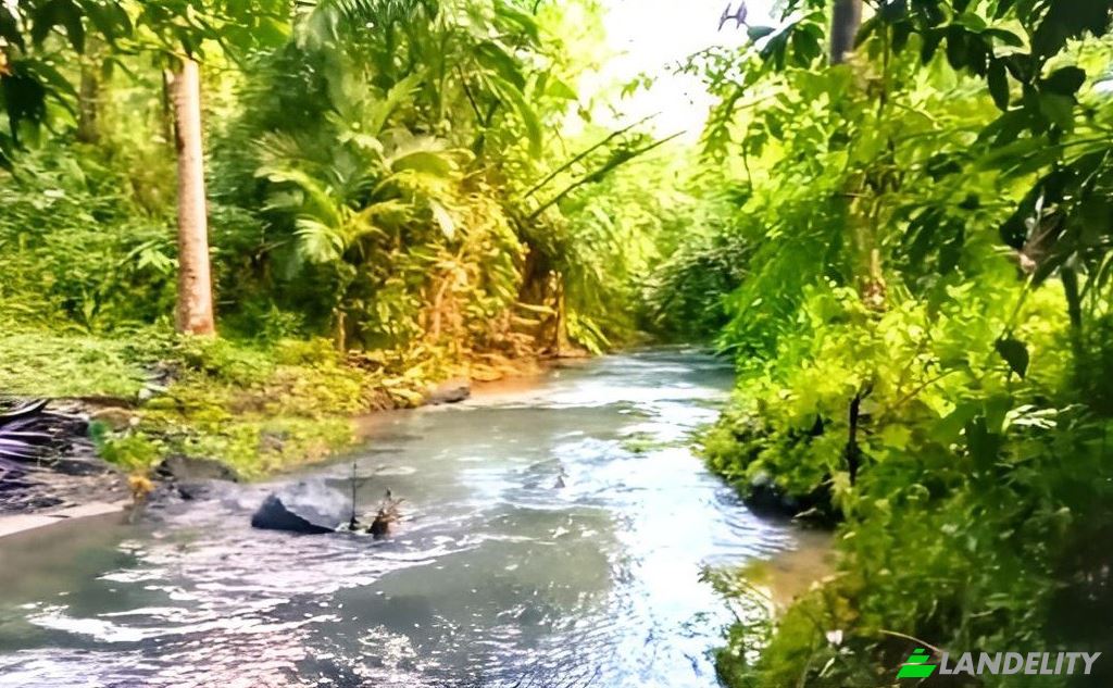 Land Lot for Sale Blk Lot Imperial Ridgeview Subdivision, Sorsogon City, Sorsogon, Bicol, Philippines. Photo 1