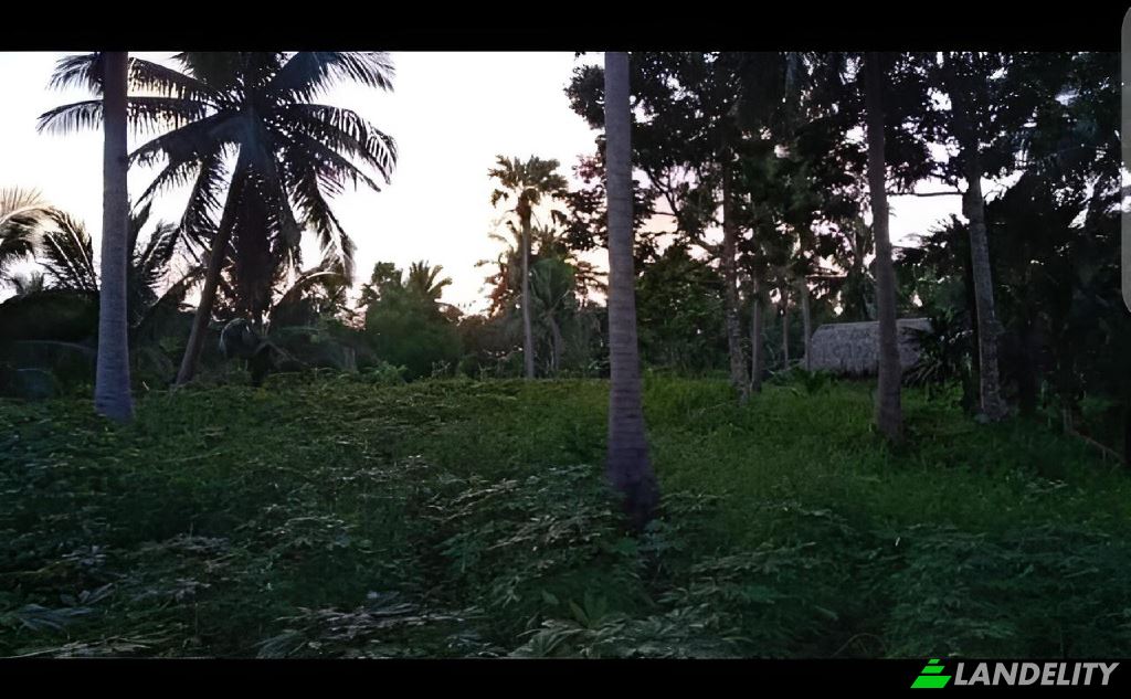 Land Lot for Sale Blk Lot Imperial Ridgeview Subdivision, Sorsogon City, Sorsogon, Bicol, Philippines. Photo 2