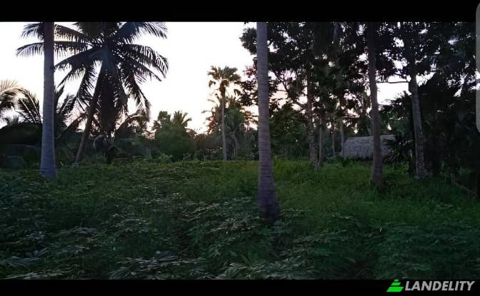 Land Lot for Sale Blk Lot Imperial Ridgeview. Photo#2