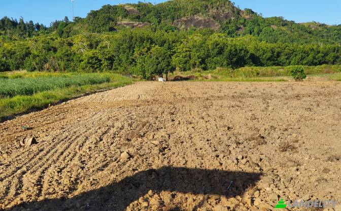 Land Lot for Sale Mataniwai Road, Naleba, Labasa. Photo#12