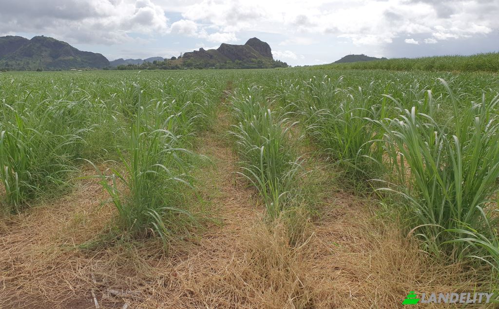 Land Lot for Sale Mataniwai Road, Naleba, Labasa, Northern Division, Fiji. Photo 3