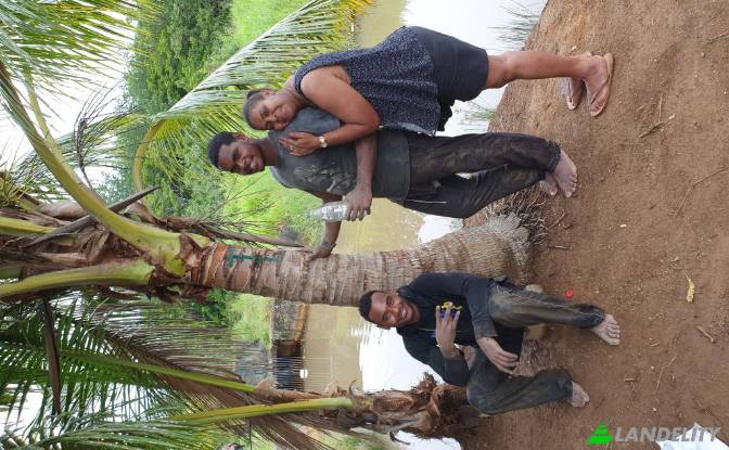 Land Lot for Sale Mataniwai Road, Naleba, Labasa. Photo#4