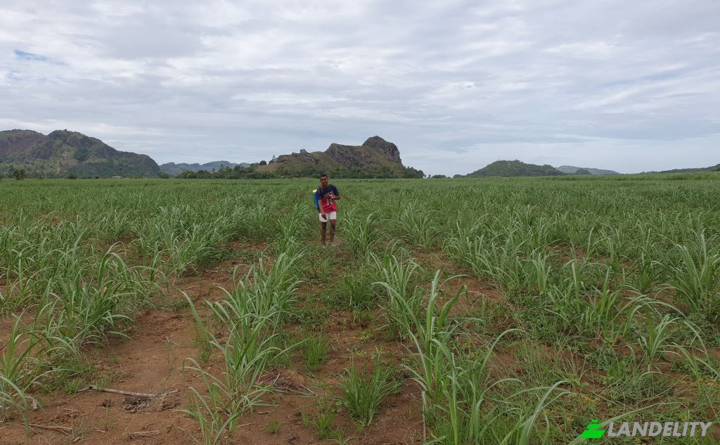 Land Lot for Sale Mataniwai Road, Naleba, Labasa, Northern Division, Fiji. Photo 7