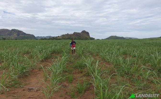 Land Lot for Sale Mataniwai Road, Naleba, Labasa. Photo#7