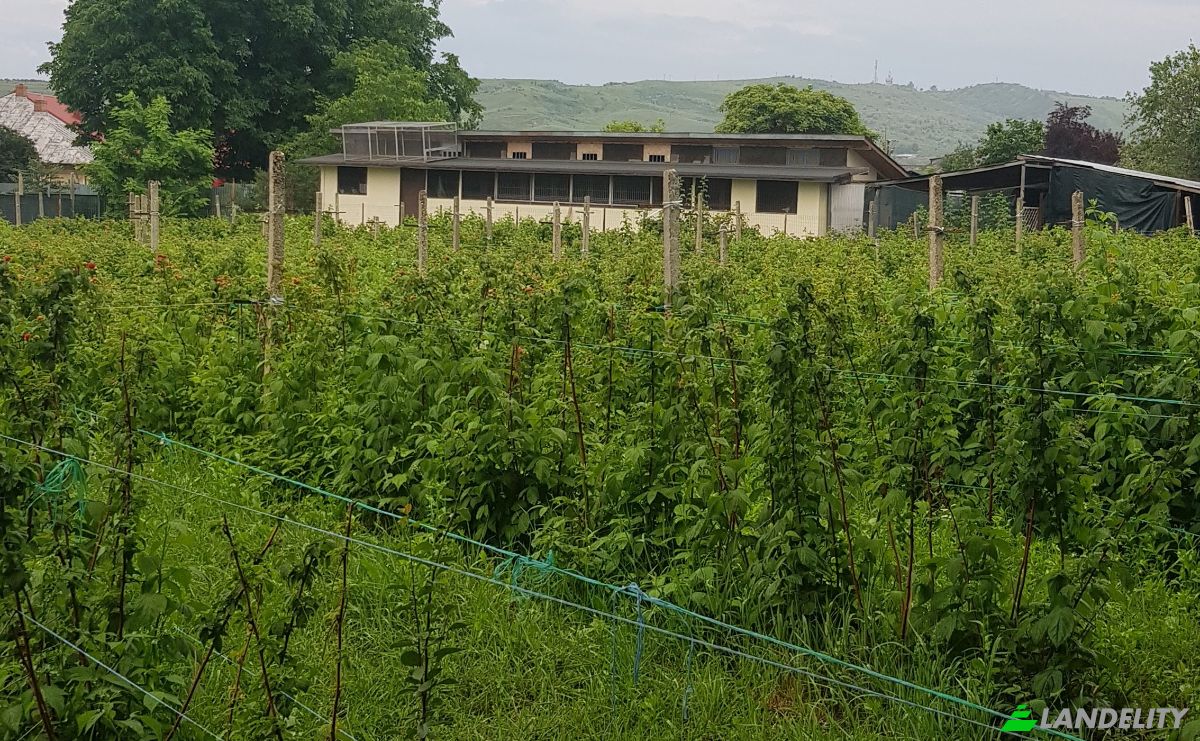 Eengezinswoning Te koop Strada Independentei 17, Urlati, Prahova, Romania. Foto 4