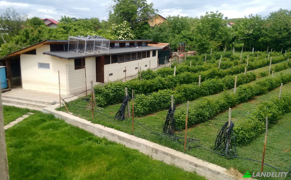 Eengezinswoning Te koop Strada Independentei 17, Urlati, Prahova, Romania. Foto 6