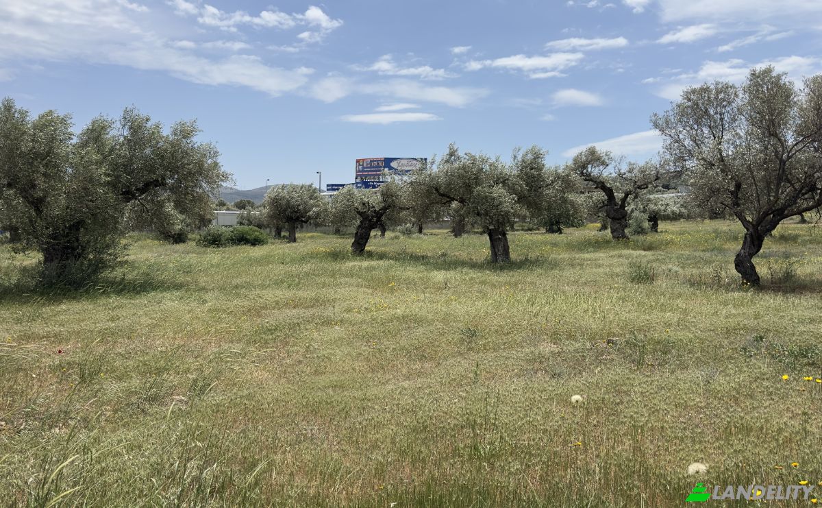 Land Lot for Sale EparOd Kerateas-Anavissou 77, Keratea 190 01, Keratea, Attica, Decentralized Administration of Attica, Greece. Photo 2