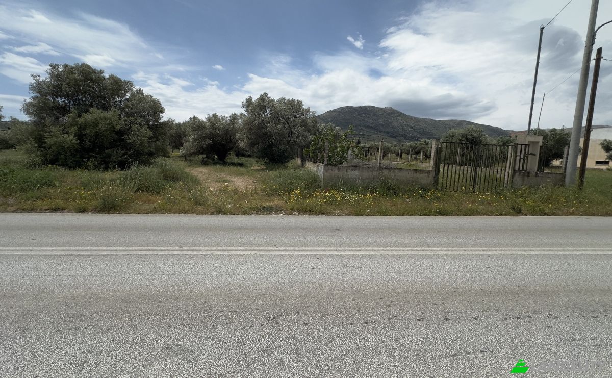 Land Lot for Sale EparOd Kerateas-Anavissou 77, Keratea 190 01, Keratea, Attica, Decentralized Administration of Attica, Greece. Photo 4
