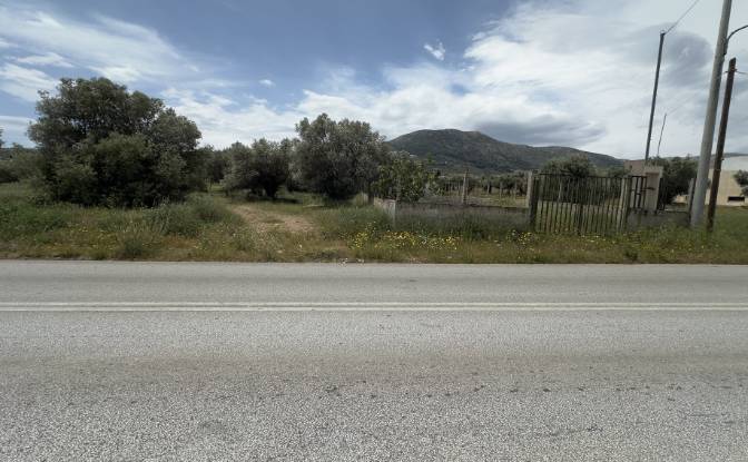 Land Lot for Sale EparOd Kerateas-Anavissou 77. Photo#4