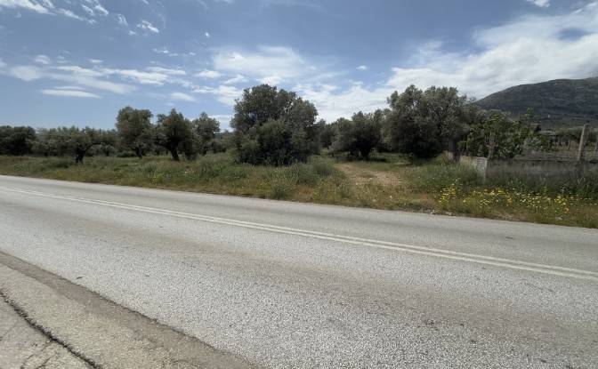 Land Lot for Sale EparOd Kerateas-Anavissou 77. Photo#6
