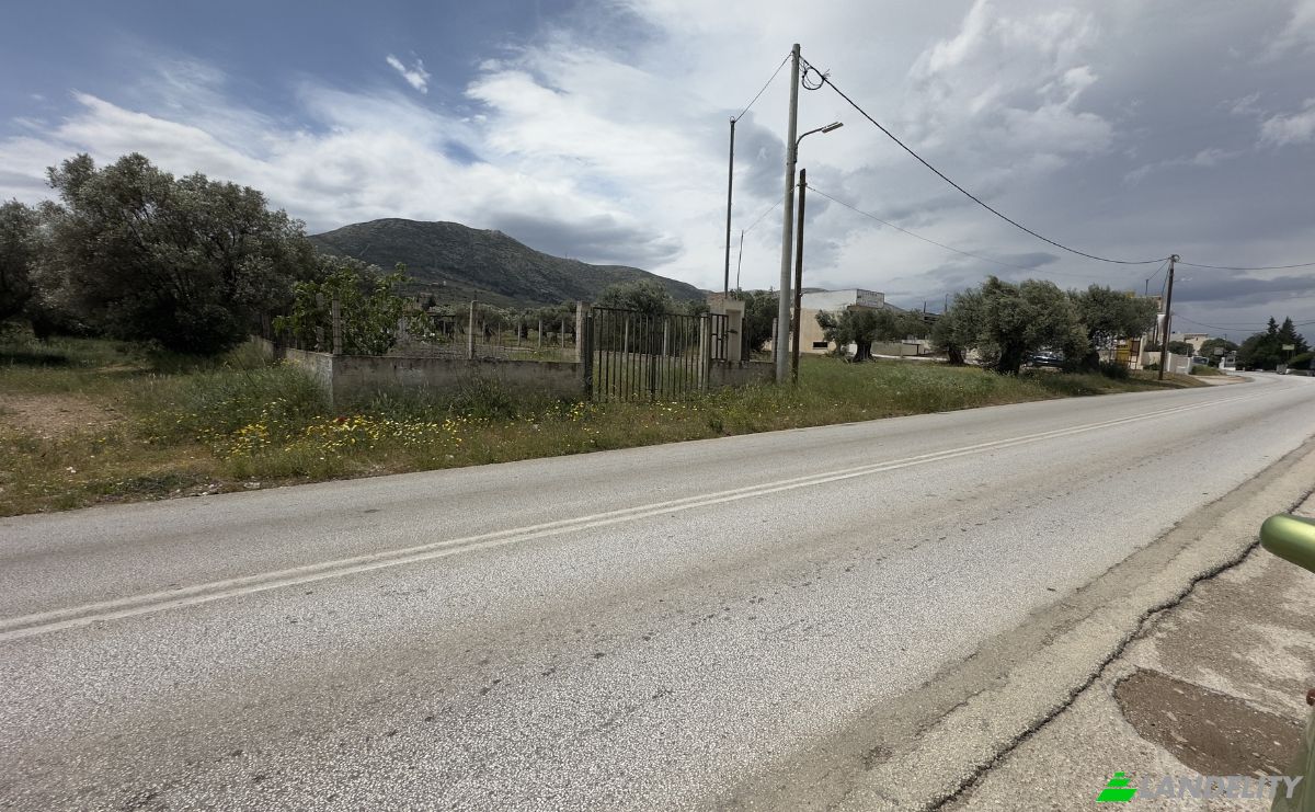 Land Lot for Sale EparOd Kerateas-Anavissou 77, Keratea 190 01, Keratea, Attica, Decentralized Administration of Attica, Greece. Photo 8