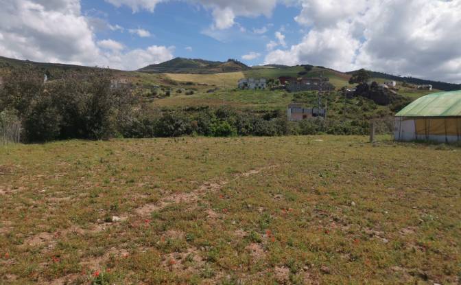Investing/Development for Sale Azla. Photo#11