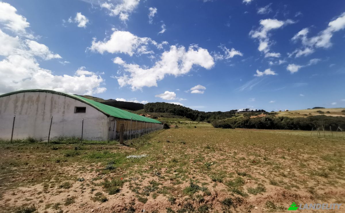 Investing/Development for Sale Azla, Tetouan Province, Tangier-Tetouan-Al Hoceima, Morocco. Photo 12