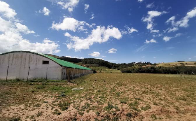 Investing/Development for Sale Azla. Photo#12