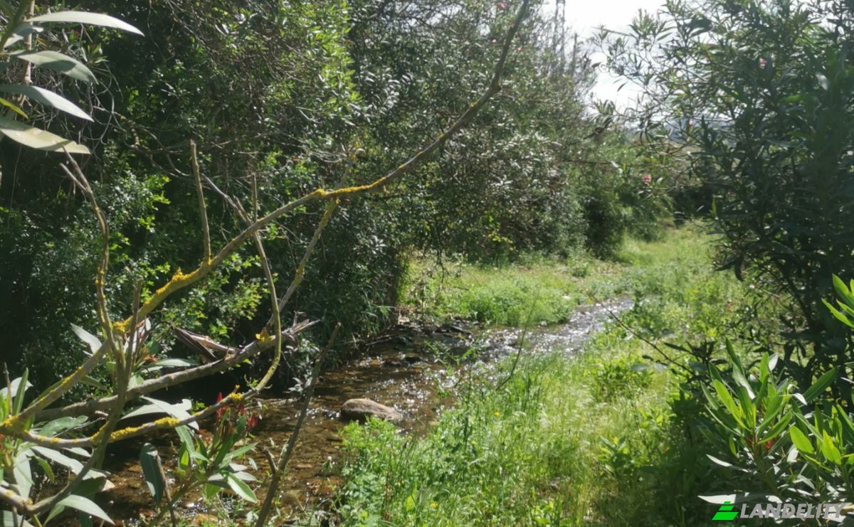 Investing/Development for Sale Azla, Tetouan Province, Tangier-Tetouan-Al Hoceima, Morocco. Photo 15