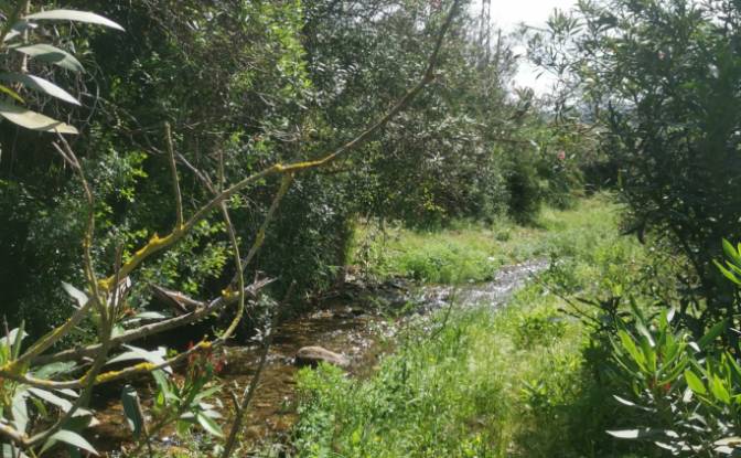 Investing/Development for Sale Azla. Photo#15