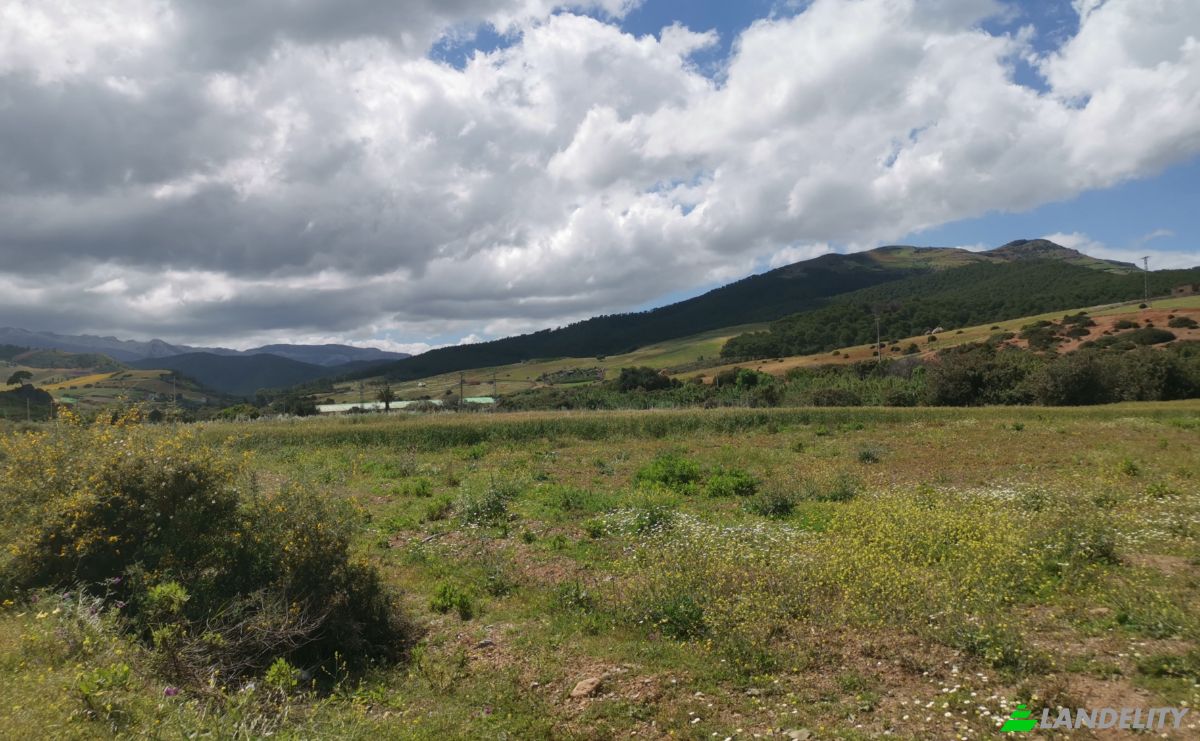 Investing/Development for Sale Azla, Tetouan Province, Tangier-Tetouan-Al Hoceima, Morocco. Photo 17