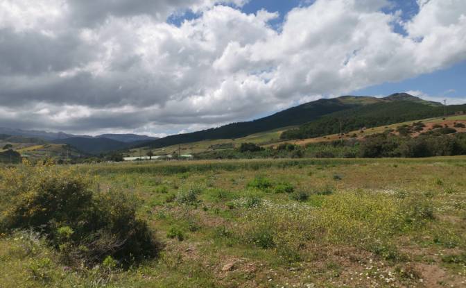 Investing/Development for Sale Azla. Photo#17