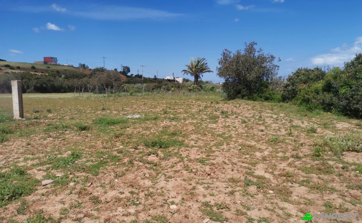 Investing/Development for Sale Azla, Tetouan Province, Tangier-Tetouan-Al Hoceima, Morocco. Photo 2