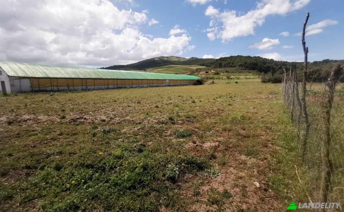 Investing/Development for Sale Azla, Tetouan Province, Tangier-Tetouan-Al Hoceima, Morocco. Photo 20