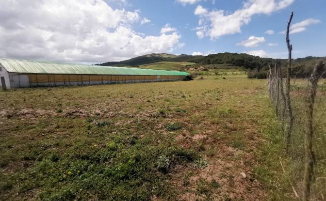 Investing/Development for Sale Azla. Photo#20
