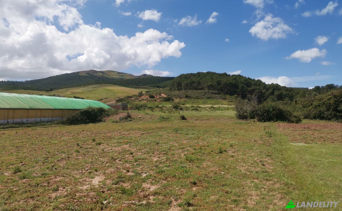 Investing/Development for Sale Azla, Tetouan Province, Tangier-Tetouan-Al Hoceima, Morocco. Photo 21