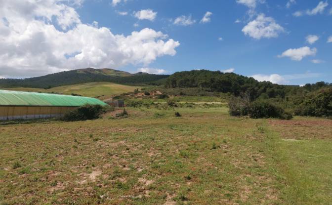 Investing/Development for Sale Azla. Photo#21