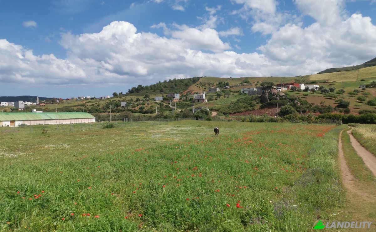 Investing/Development for Sale Azla, Tetouan Province, Tangier-Tetouan-Al Hoceima, Morocco. Photo 22
