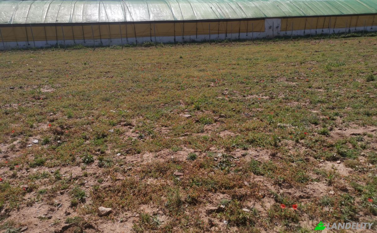 Investing/Development for Sale Azla, Tetouan Province, Tangier-Tetouan-Al Hoceima, Morocco. Photo 3