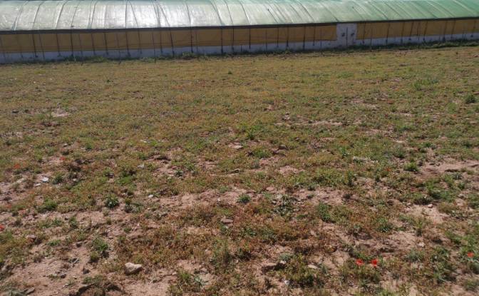 Investing/Development for Sale Azla. Photo#3