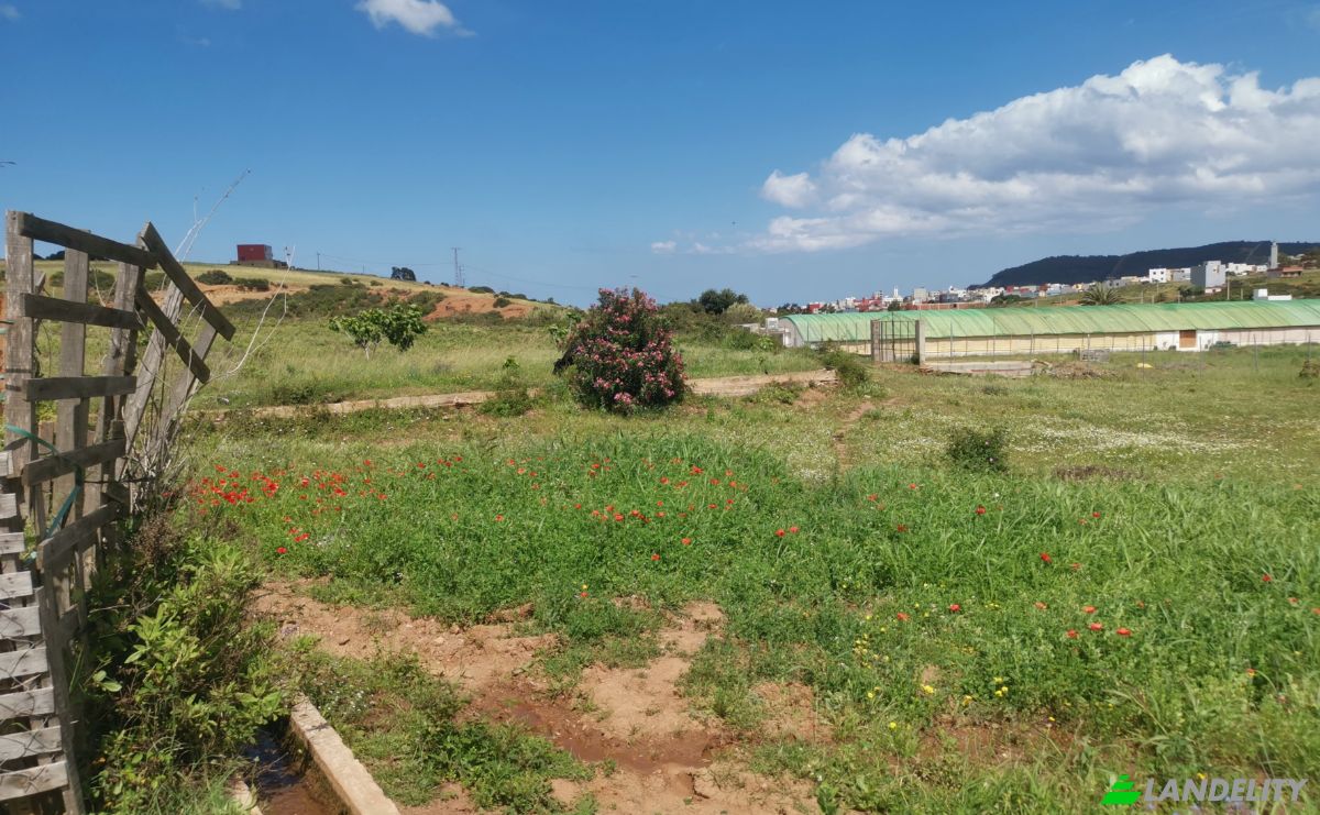 Investing/Development for Sale Azla, Tetouan Province, Tangier-Tetouan-Al Hoceima, Morocco. Photo 5