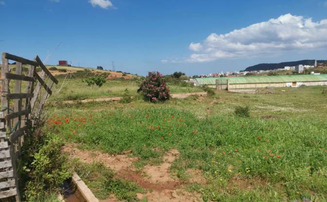 Investing/Development for Sale Azla. Photo#5