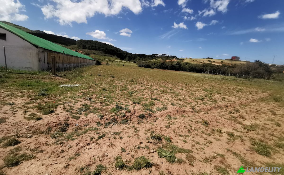 Investing/Development for Sale Azla, Tetouan Province, Tangier-Tetouan-Al Hoceima, Morocco. Photo 6