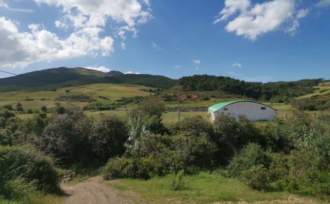 Investing/Development for Sale Azla. Photo#7