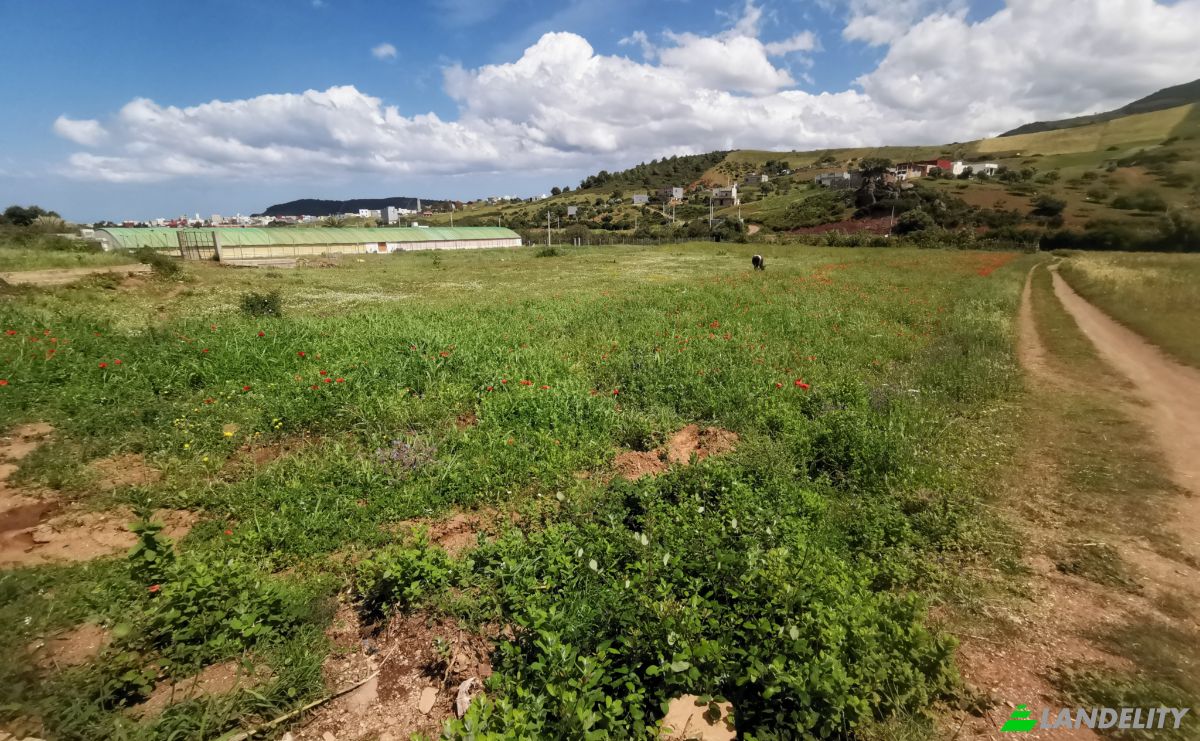 Investing/Development for Sale Azla, Tetouan Province, Tangier-Tetouan-Al Hoceima, Morocco. Photo 8