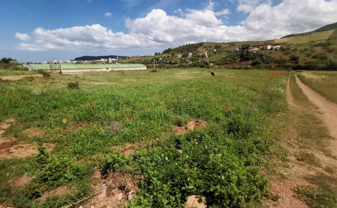 Investing/Development for Sale Azla. Photo#8