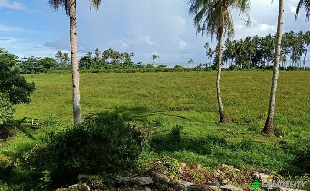 Land Lot for Sale Siargao Circumferential Rd, Del Carmen, San Benito, Surigao del Norte, Caraga, Philippines. Photo 1