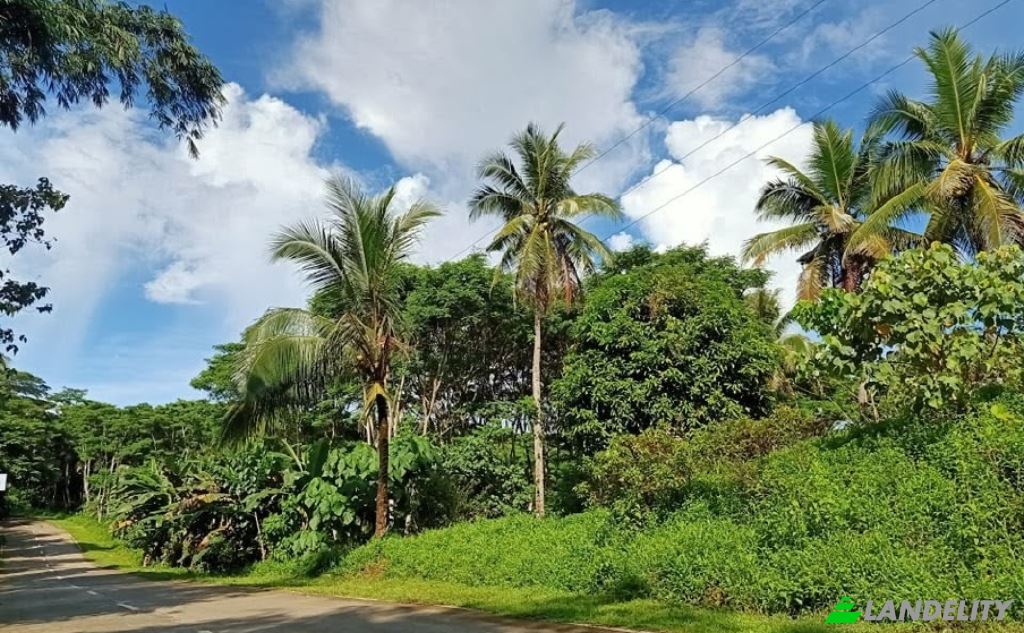 Land Lot for Sale Siargao Circumferential Rd, Del Carmen, San Benito, Surigao del Norte, Caraga, Philippines. Photo 2