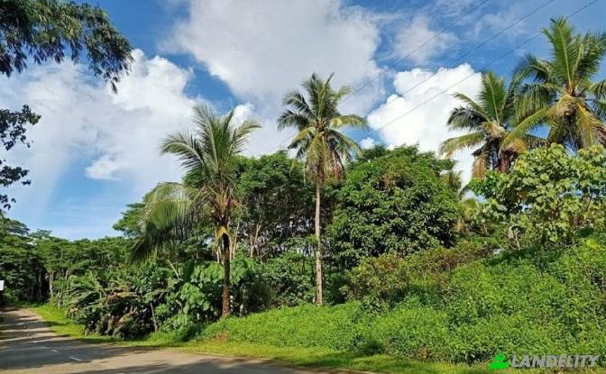 Land Lot for Sale Siargao Circumferential Rd. Photo#2 Land Lot for Sale Siargao Circumferential Rd. Photo#2